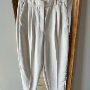 Aritzia Pants